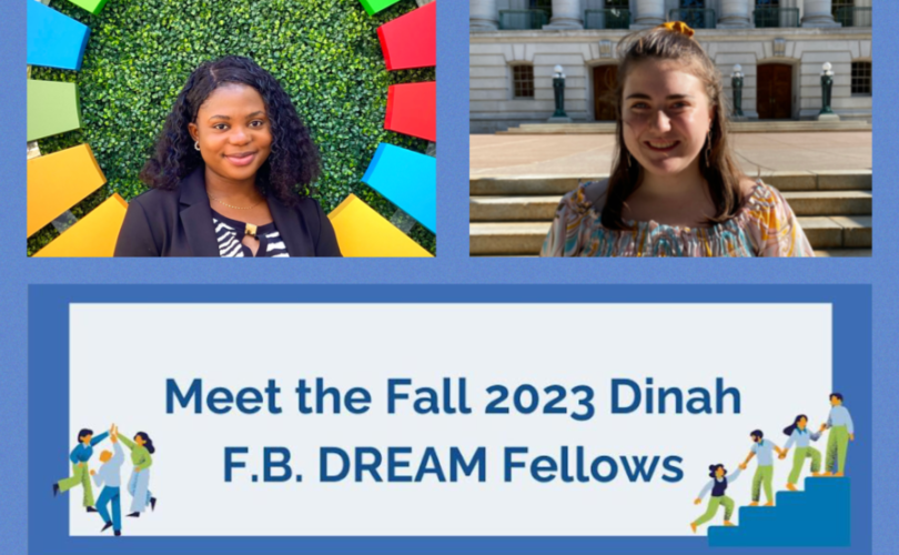 Collage of fellows' photos with navy blue banners