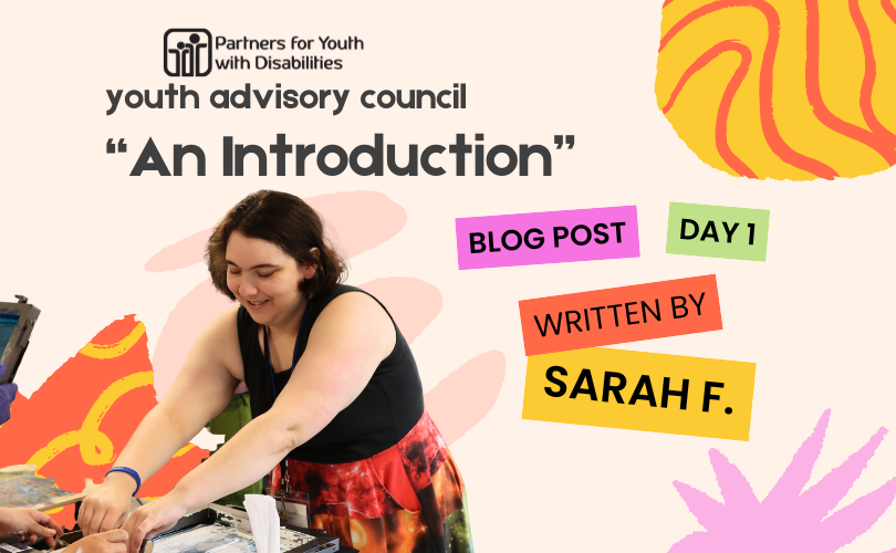Youth Advisory Council, "An Introduction" Blog Post Day 1; written by Sarah F.